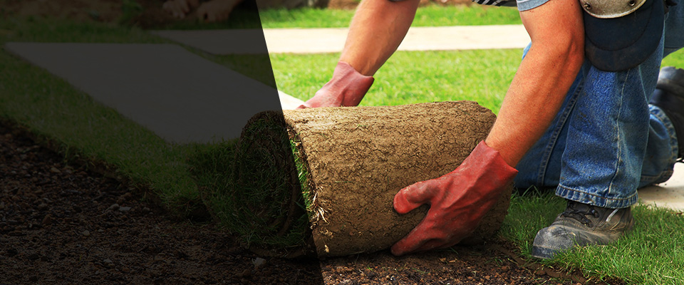 Willmar Landscapers